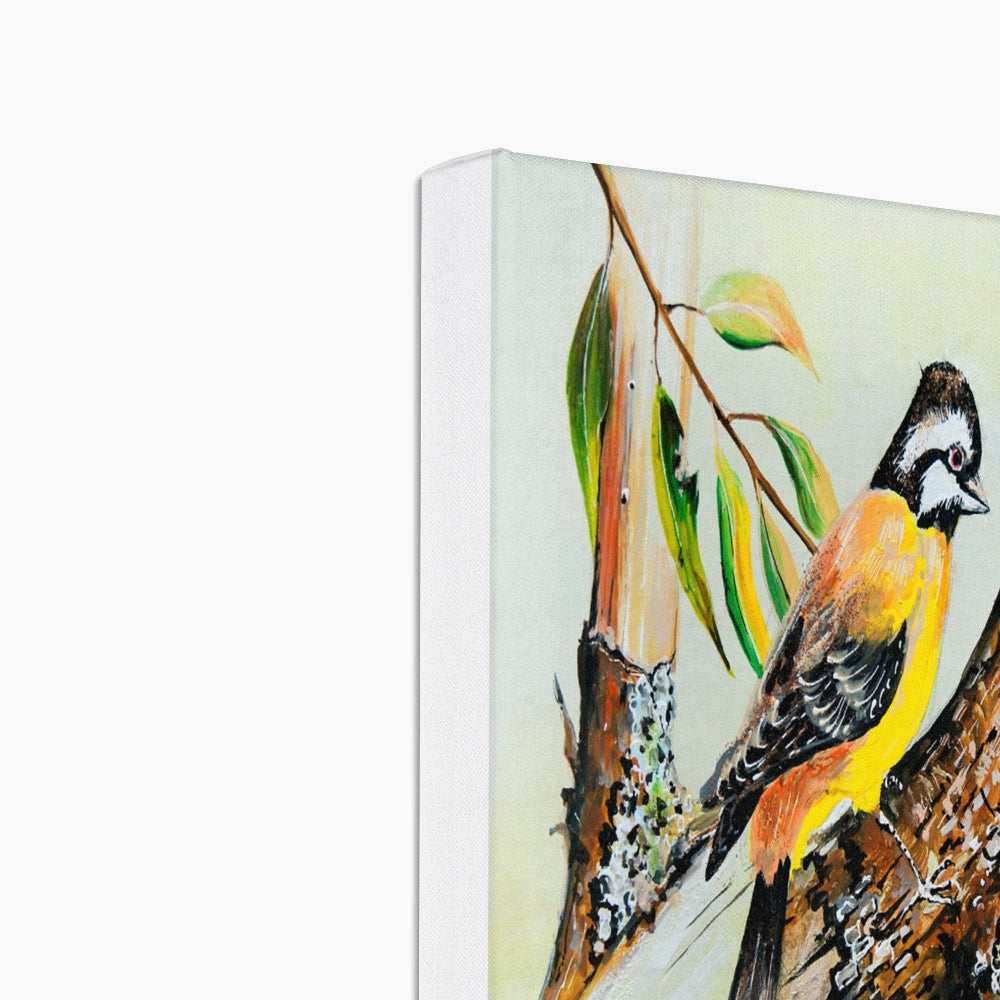 Yellow Sparrow Canvas