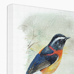 Orange & Black Sparrow Canvas