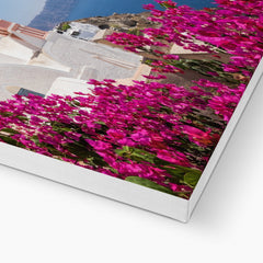 Pink Flower & Blue Dome Church Santorini Canvas