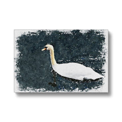 Stunning Swan In Lake Canvas