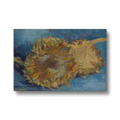Two Cut Sunflowers I By Van Gogh Canvas