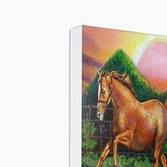 Horse & Sunset Canvas