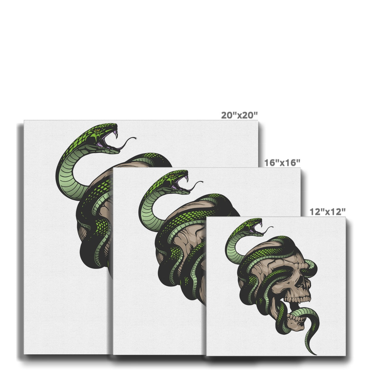 Skull & Snake Illustration Canvas