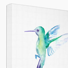 Dainty Hummingbird Canvas