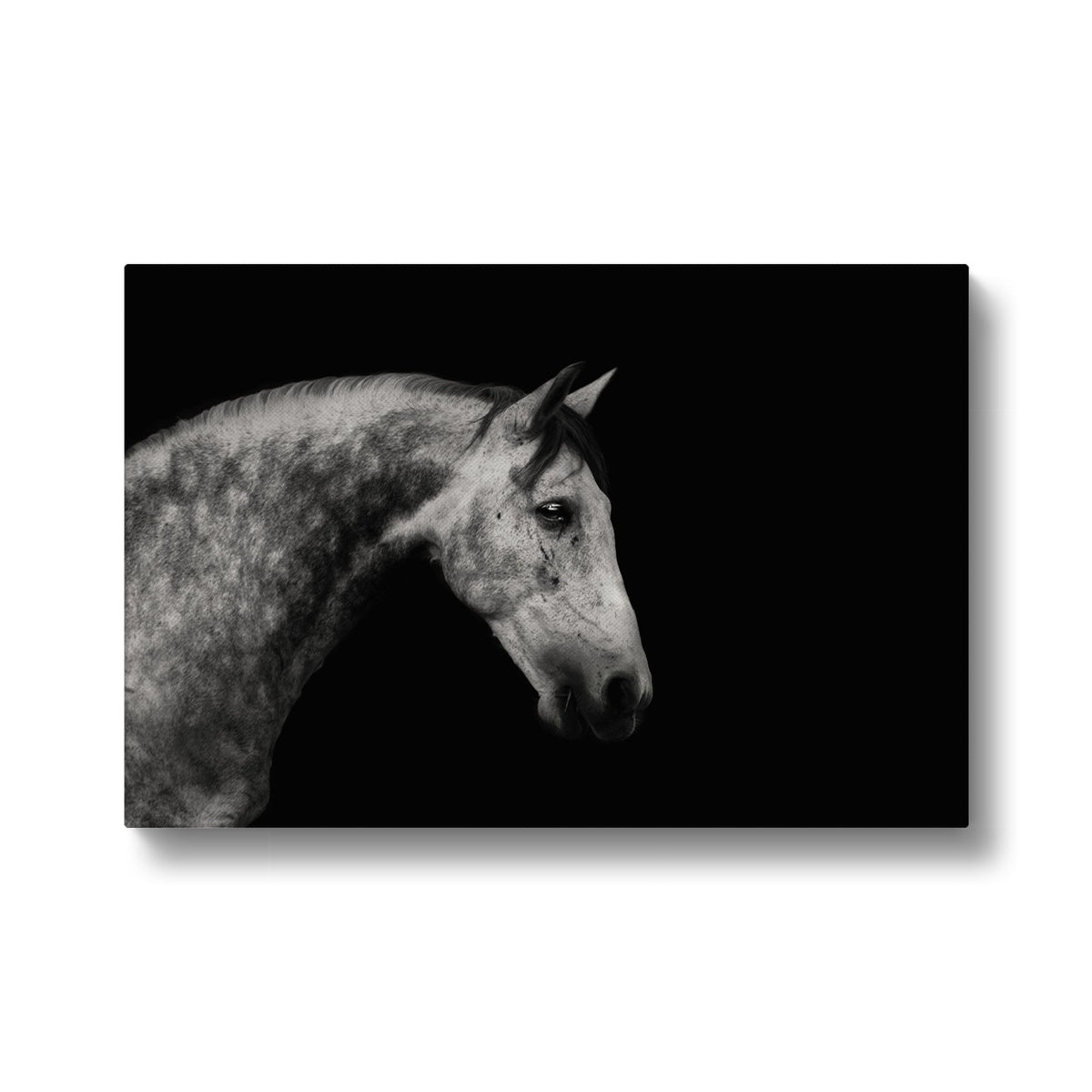 Grayscale Horse Oil Painting Canvas