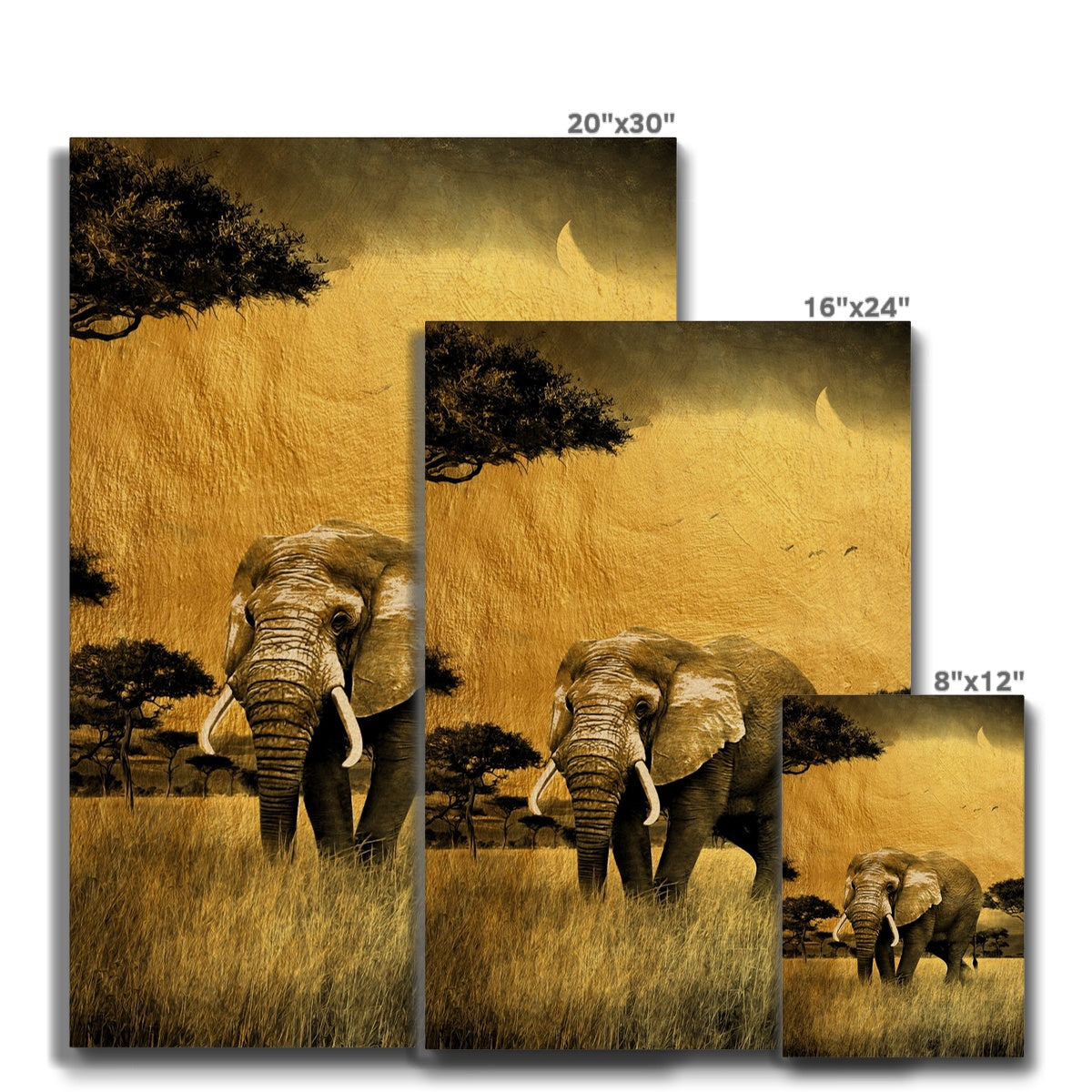 Black & Gold Elephant Canvas