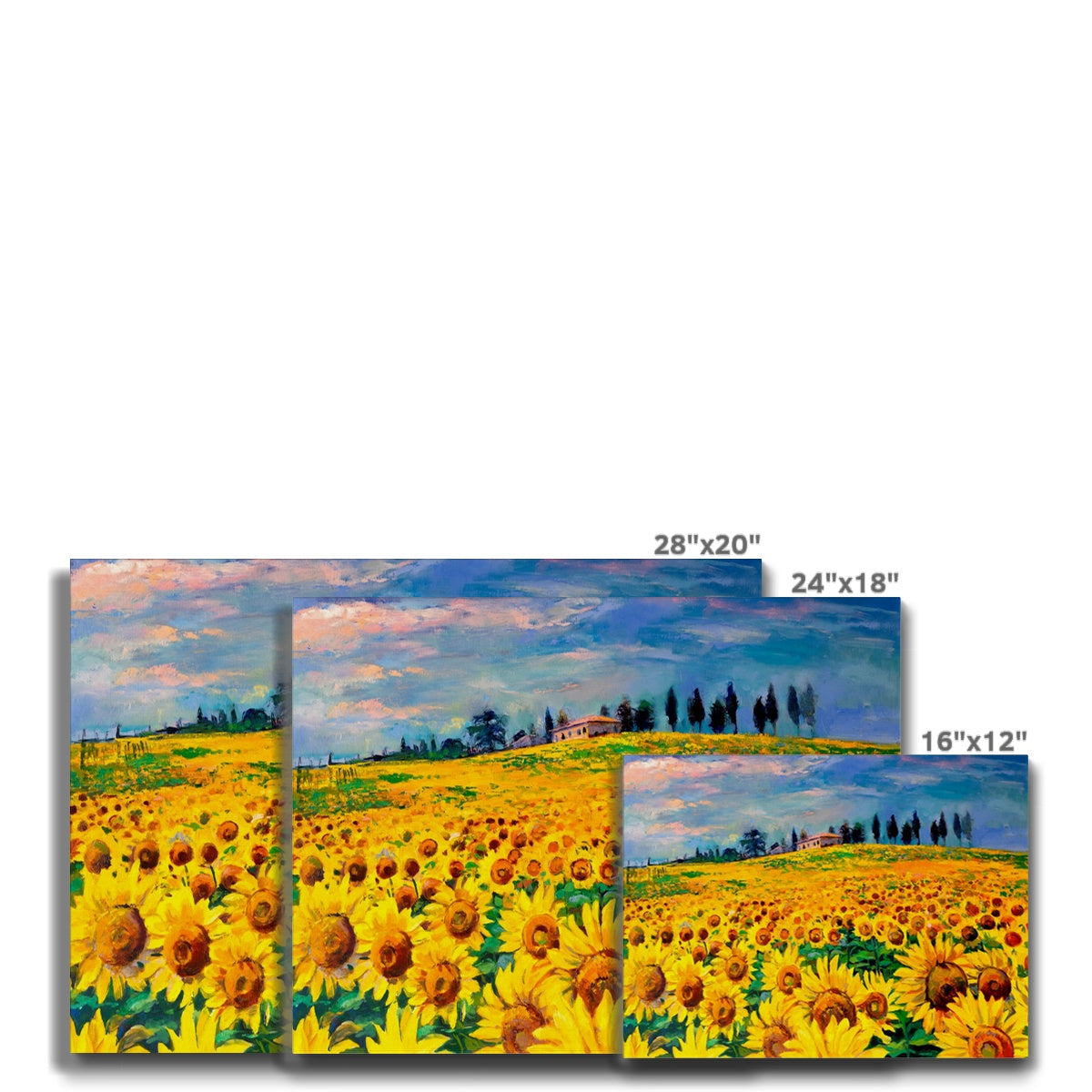 Sunflower Field Painting Canvas