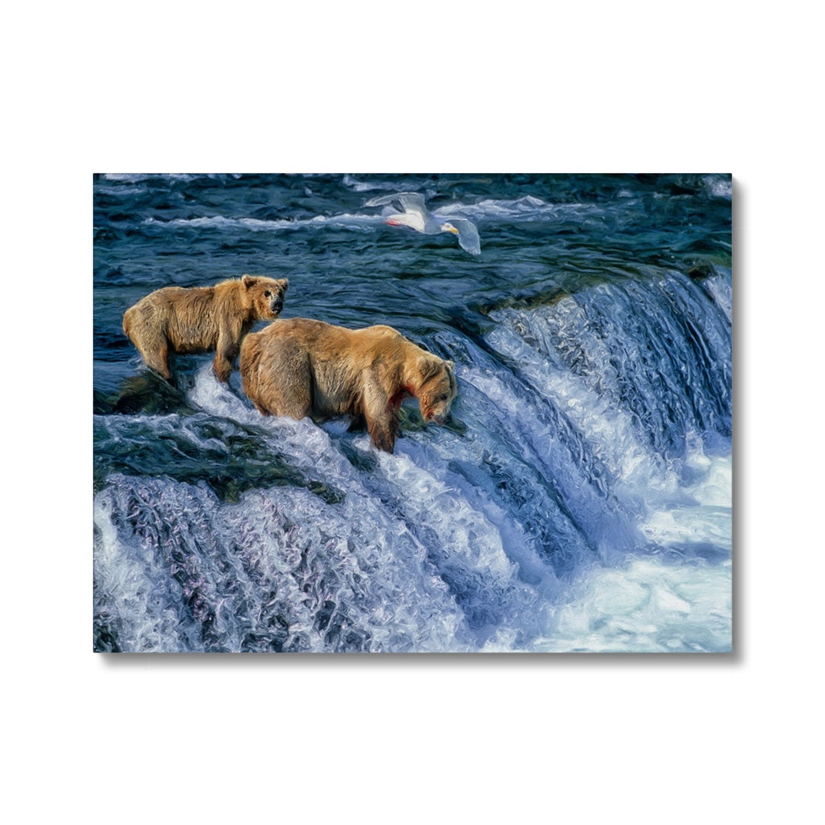 Grizzly Bear In Water Art Canvas