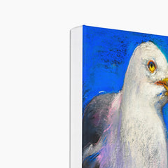 Amazing  Falcon Portrait Canvas
