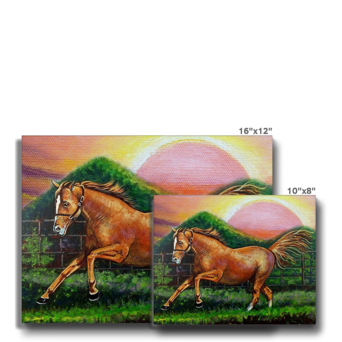 Horse & Sunset Canvas