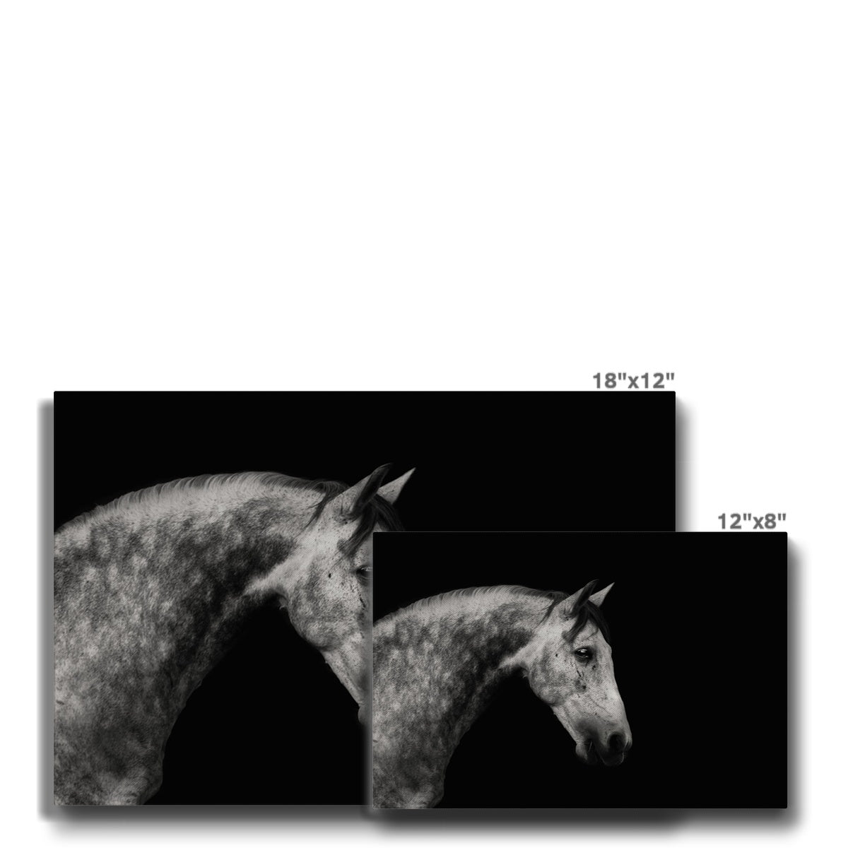 Grayscale Horse Oil Painting Canvas