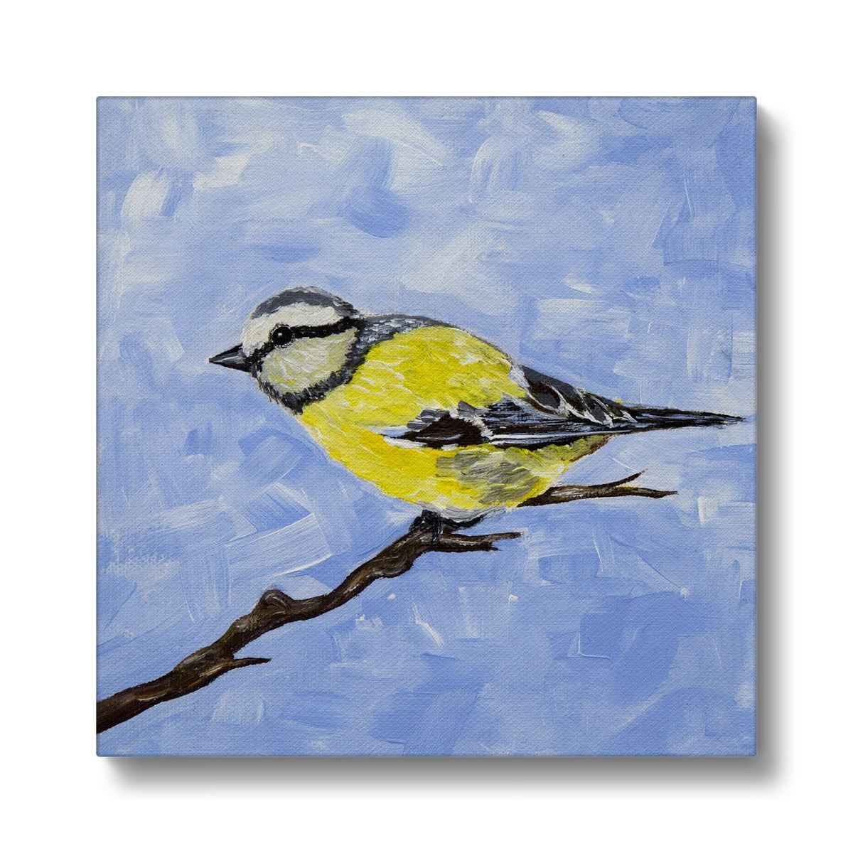 Yellow & White Sparrow Canvas