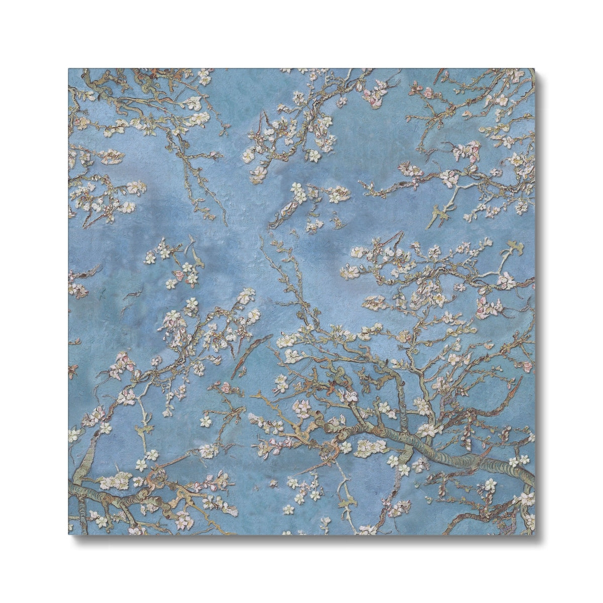 Mesmerizing White Flowers Canvas