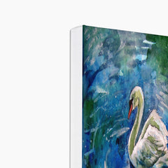 Delightful Swan Portrait Canvas