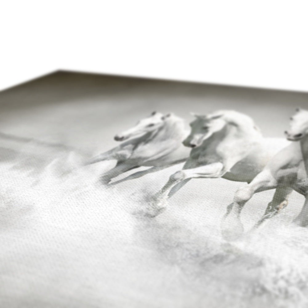 Three White Horses Canvas