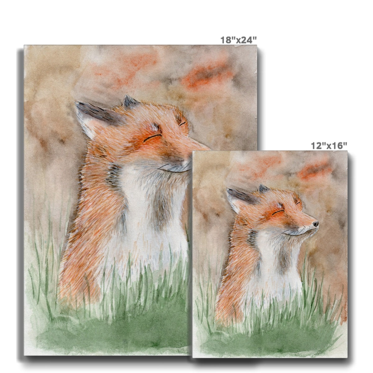 Smiling Fox Portrait Canvas