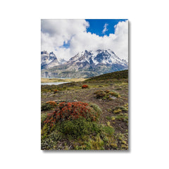 Great Mountains & Cerro Paine Grande Canvas