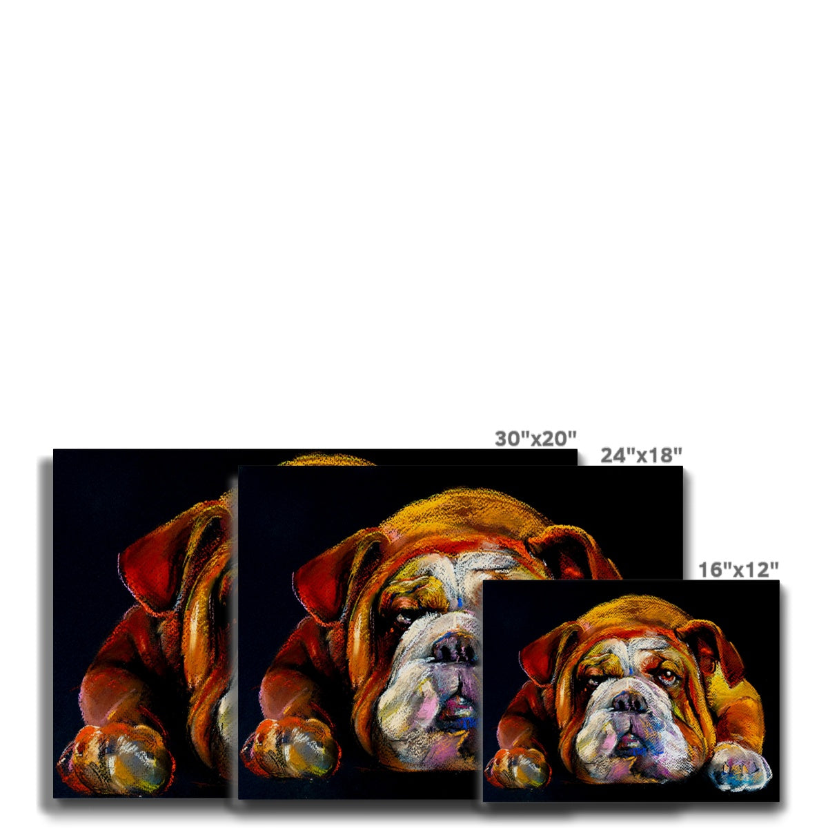 Colorfull Bulldog Painting Canvas