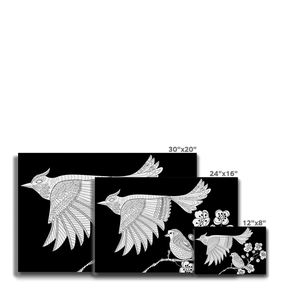 Black & White Birdies Canvas