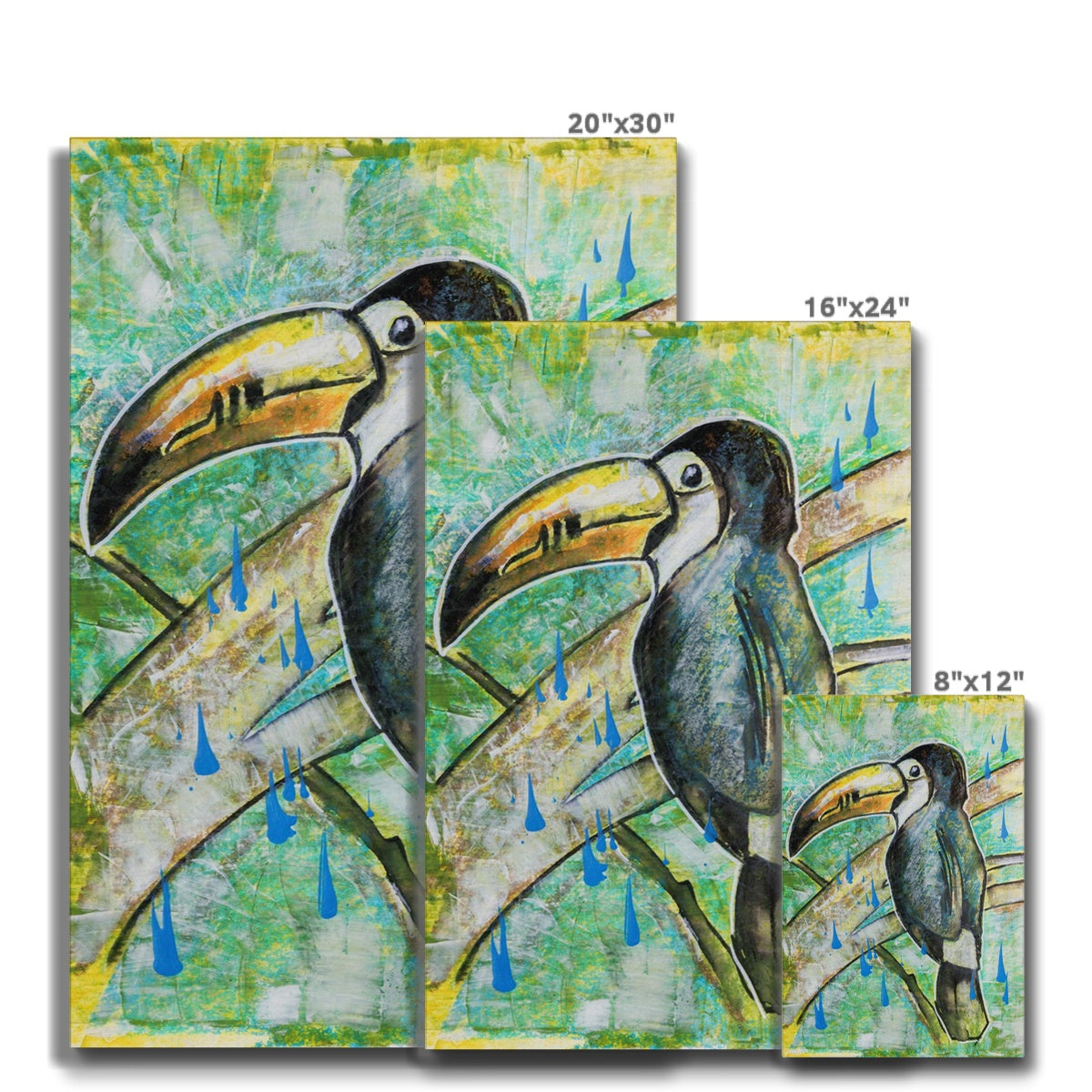 Toucan & Rain Sketch Canvas