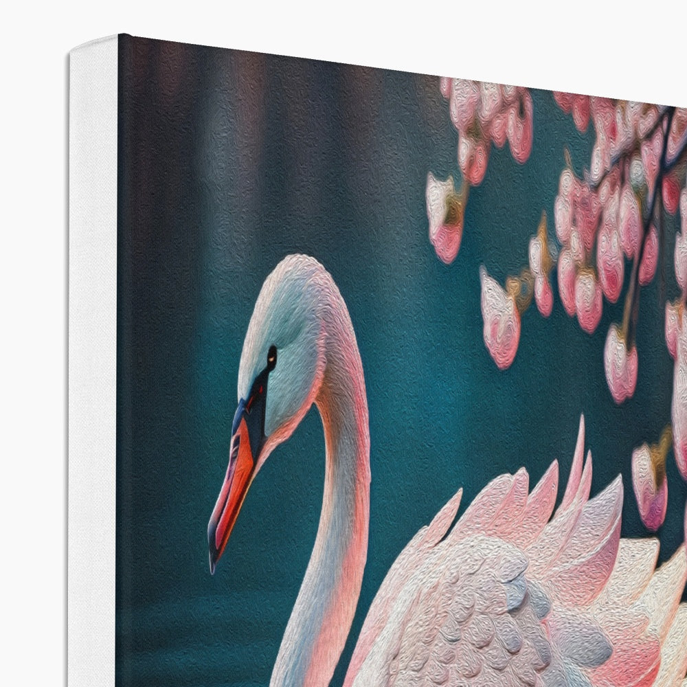 Striking Swan's Pink Illustration Canvas