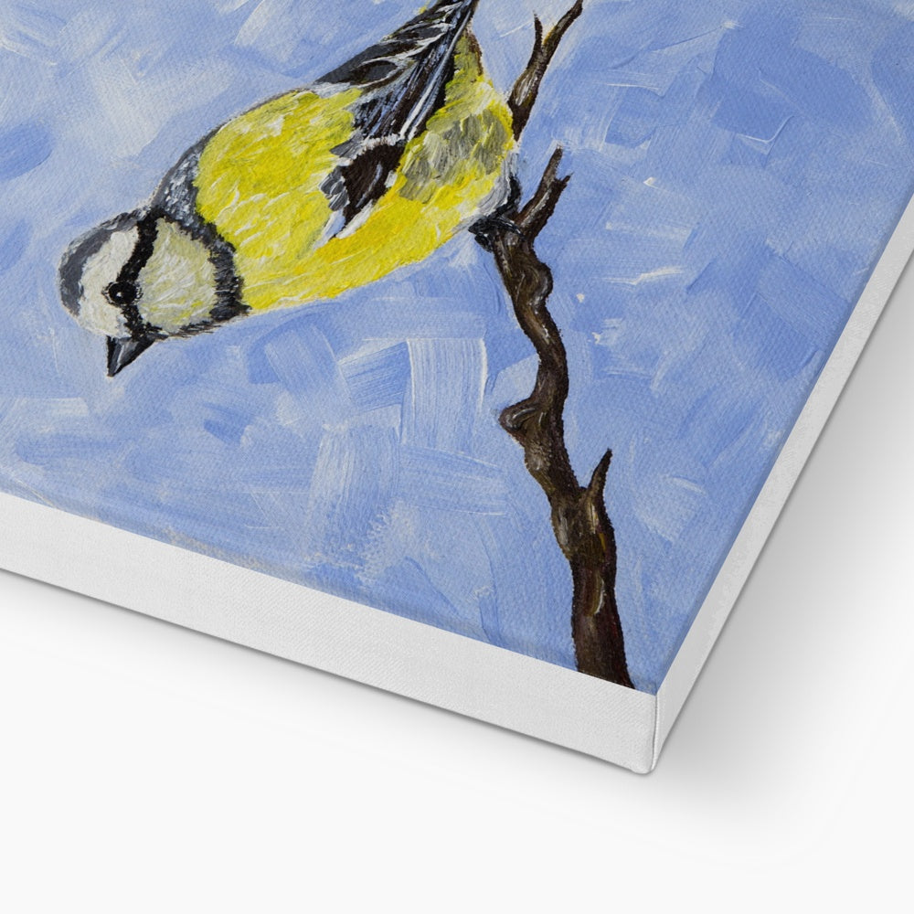 Yellow & White Sparrow Canvas