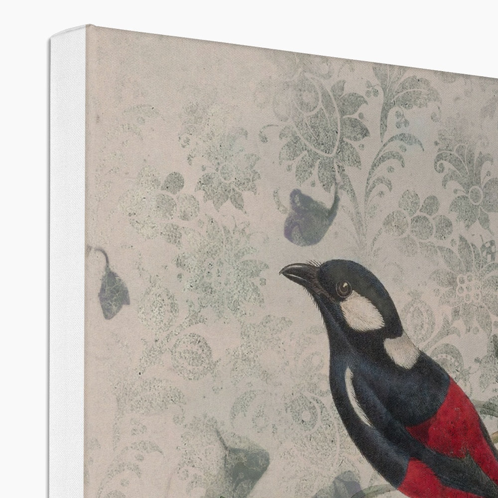 Red & Black Sparrow Canvas