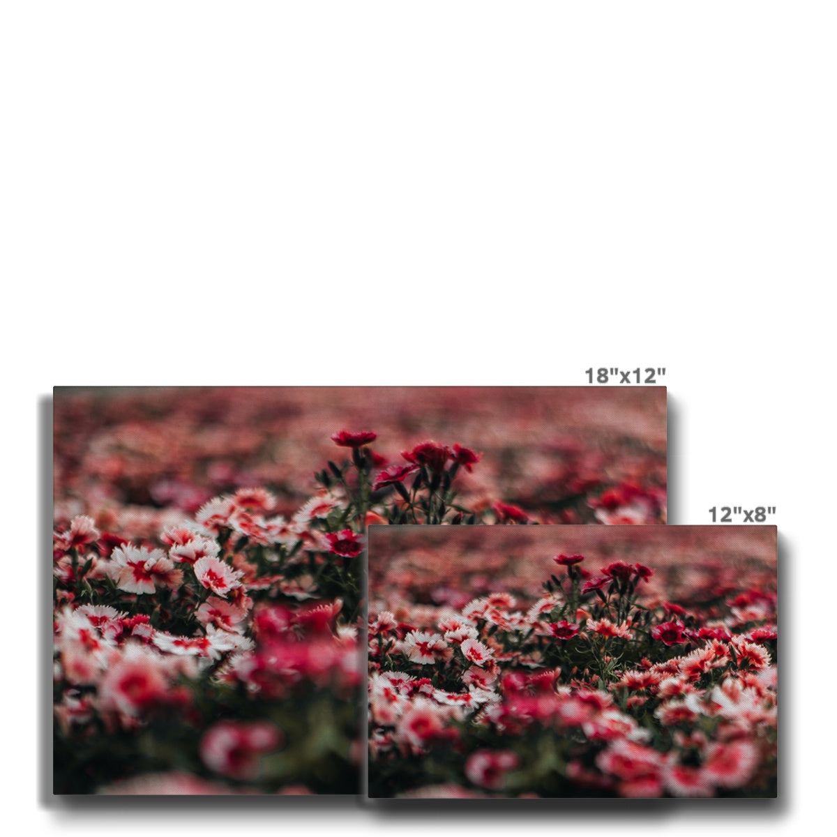 Aesthetic Pink Flowers Field Canvas