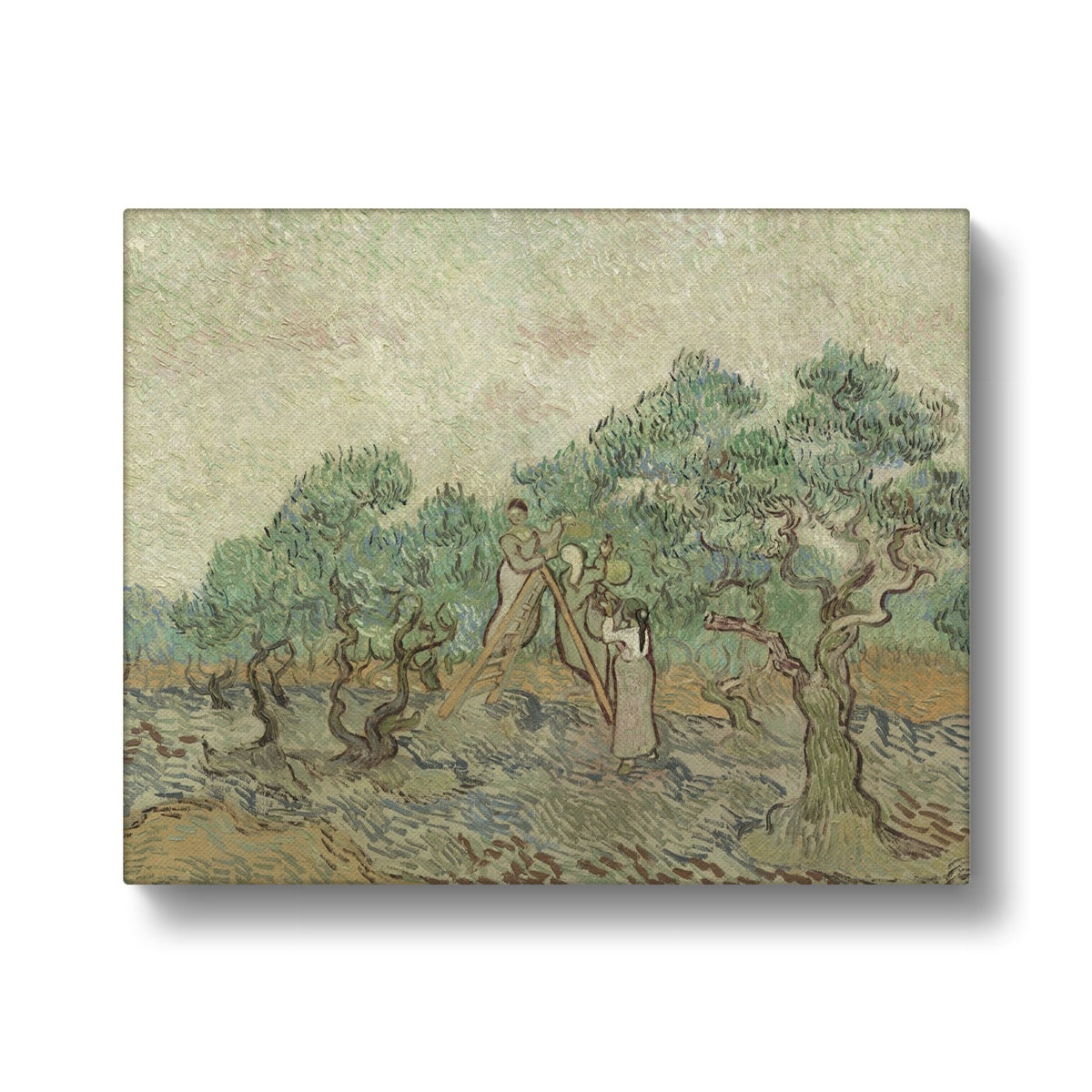 The Olive Orchard Painting II By Vincent Van Gogh Canvas