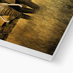 Black & Gold Elephant Canvas