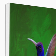 Colorful Flying Hummingbird Canvas