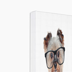 Adorable Animal Puppy Art Canvas