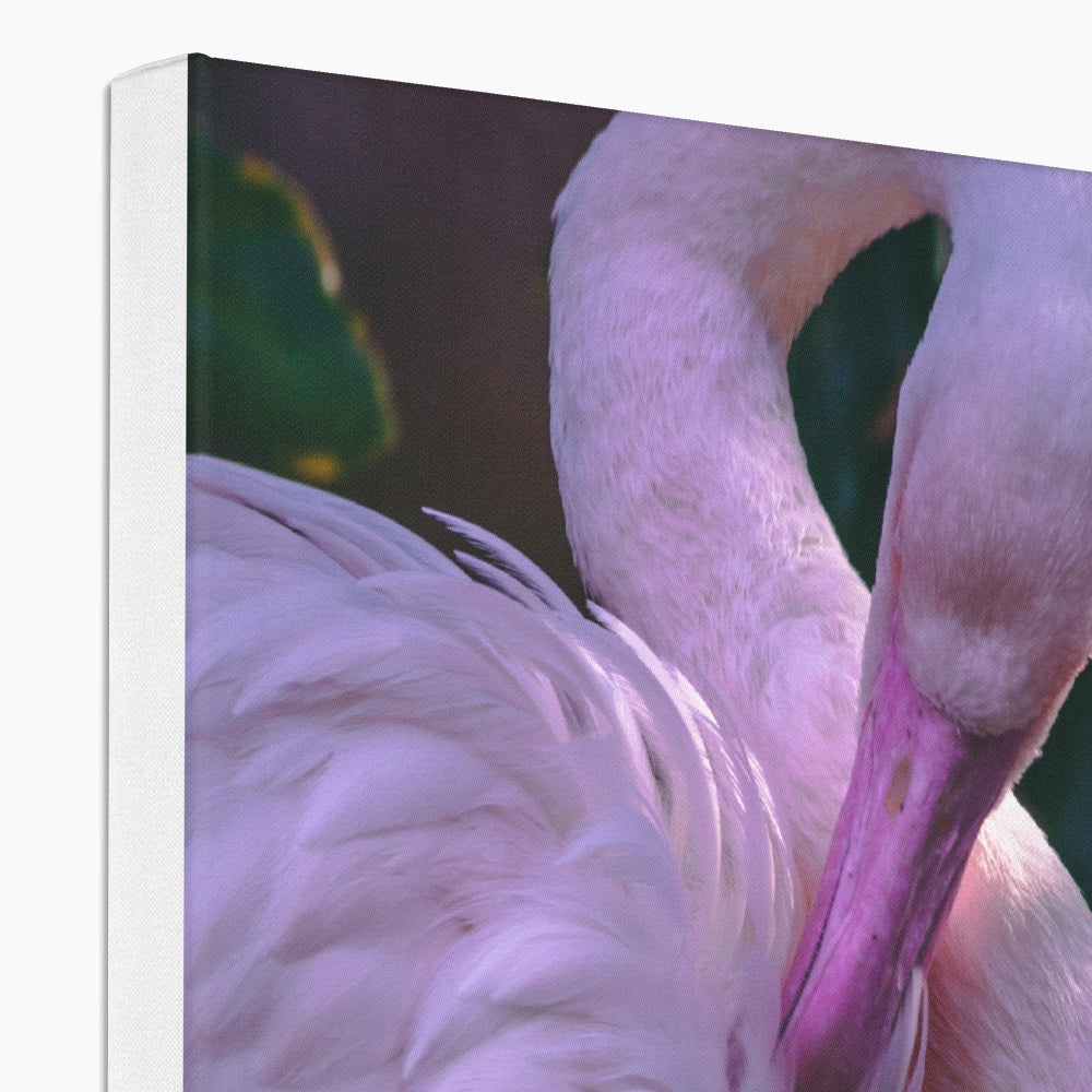 Profound Flamingo Portrait Canvas