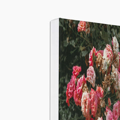 Aesthetic Bunch Of Pink Flowers Canvas