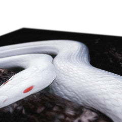 Majestic White Snake Canvas