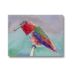 Precious Flying Hummingbird Canvas