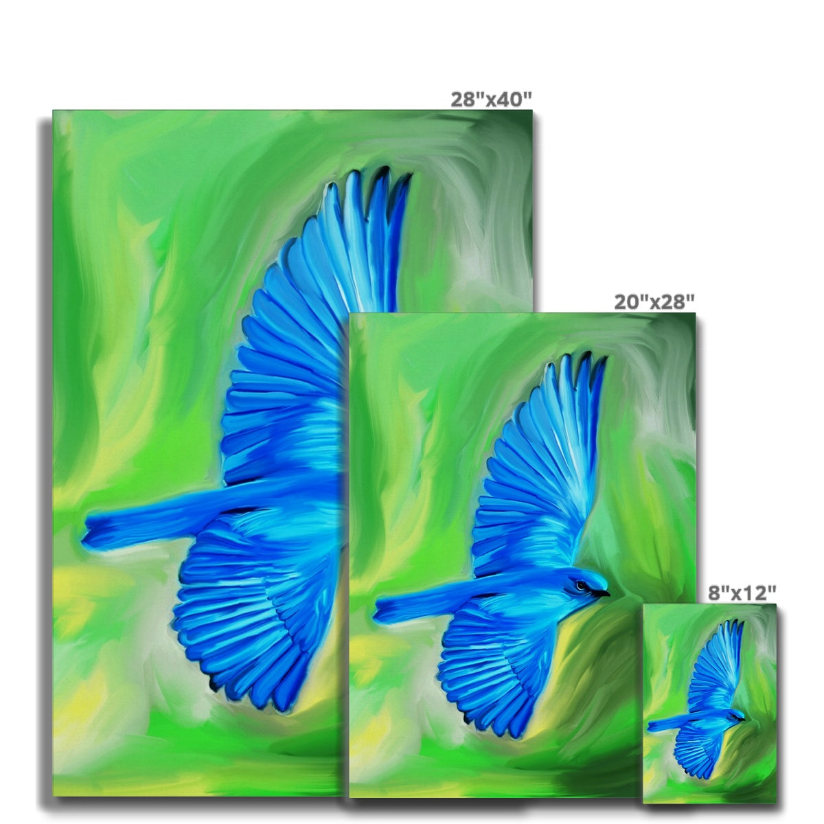 Pretty Blue Hummingbird Canvas