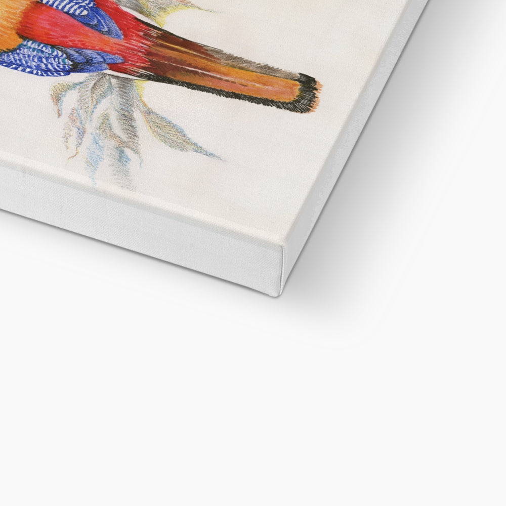 Colorfull Sparrow On The Branch Canvas