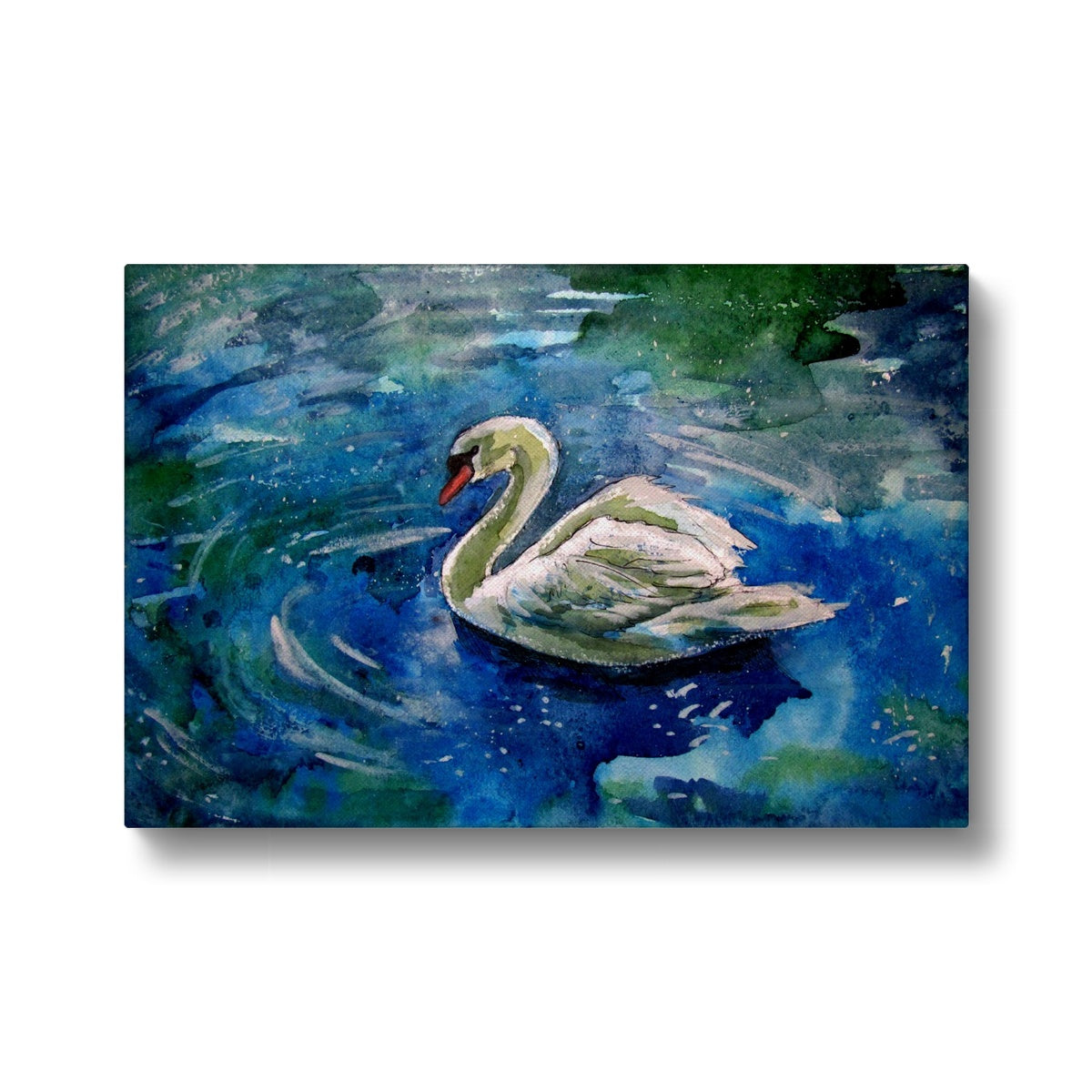 Delightful Swan Portrait Canvas