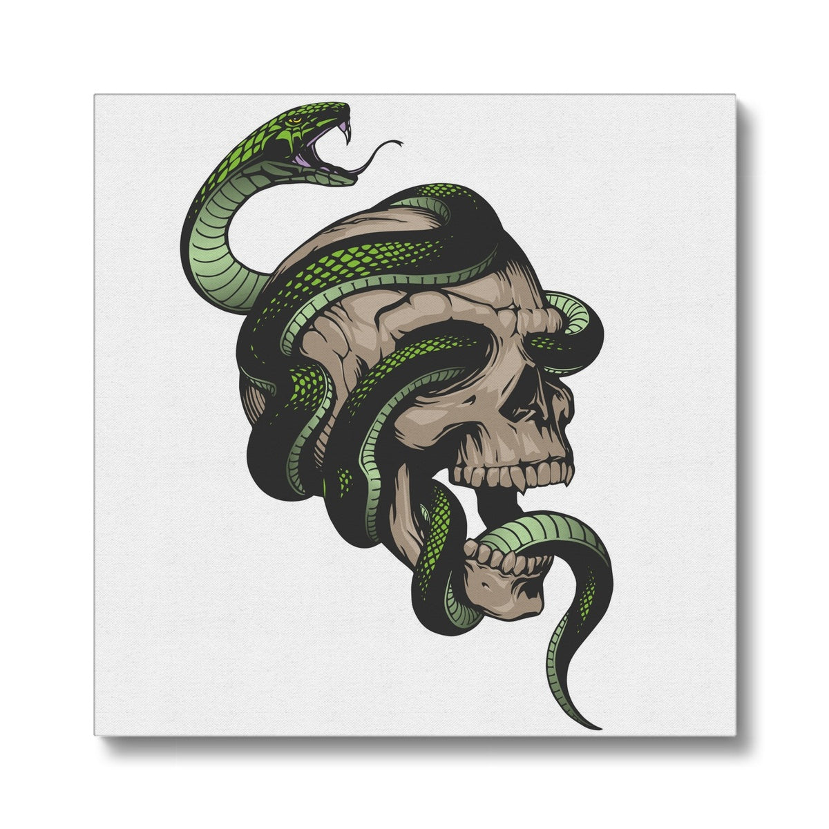 Skull & Snake Illustration Canvas