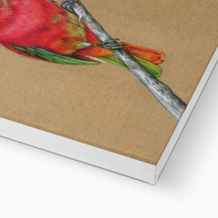 Amazing Pink Bird Canvas