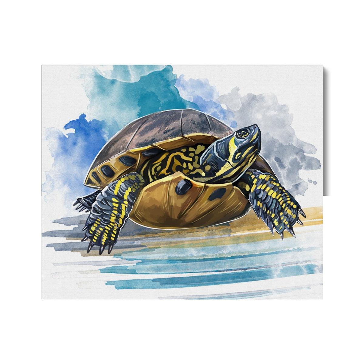 Animated Majestic Turtle Canvas