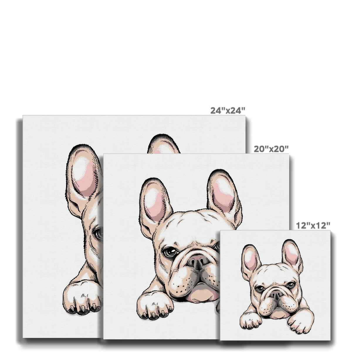 Blonde French Bulldog Animation Canvas