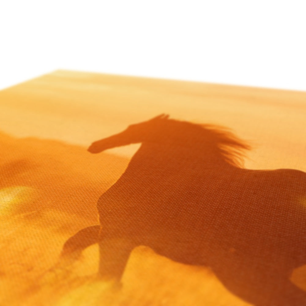 Horse & Golden Hour Canvas