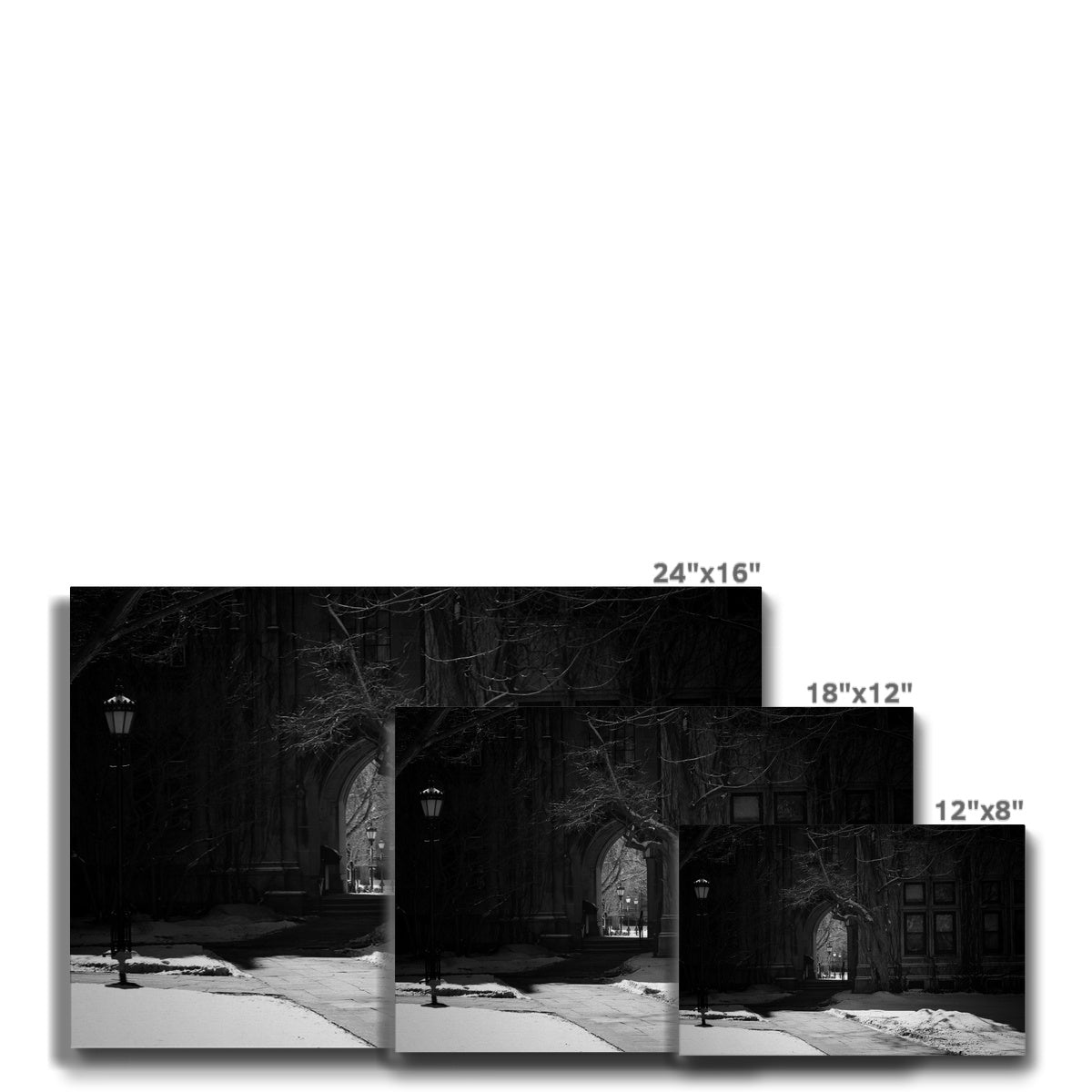 Greyscale Gothic Wall Decor Canvas