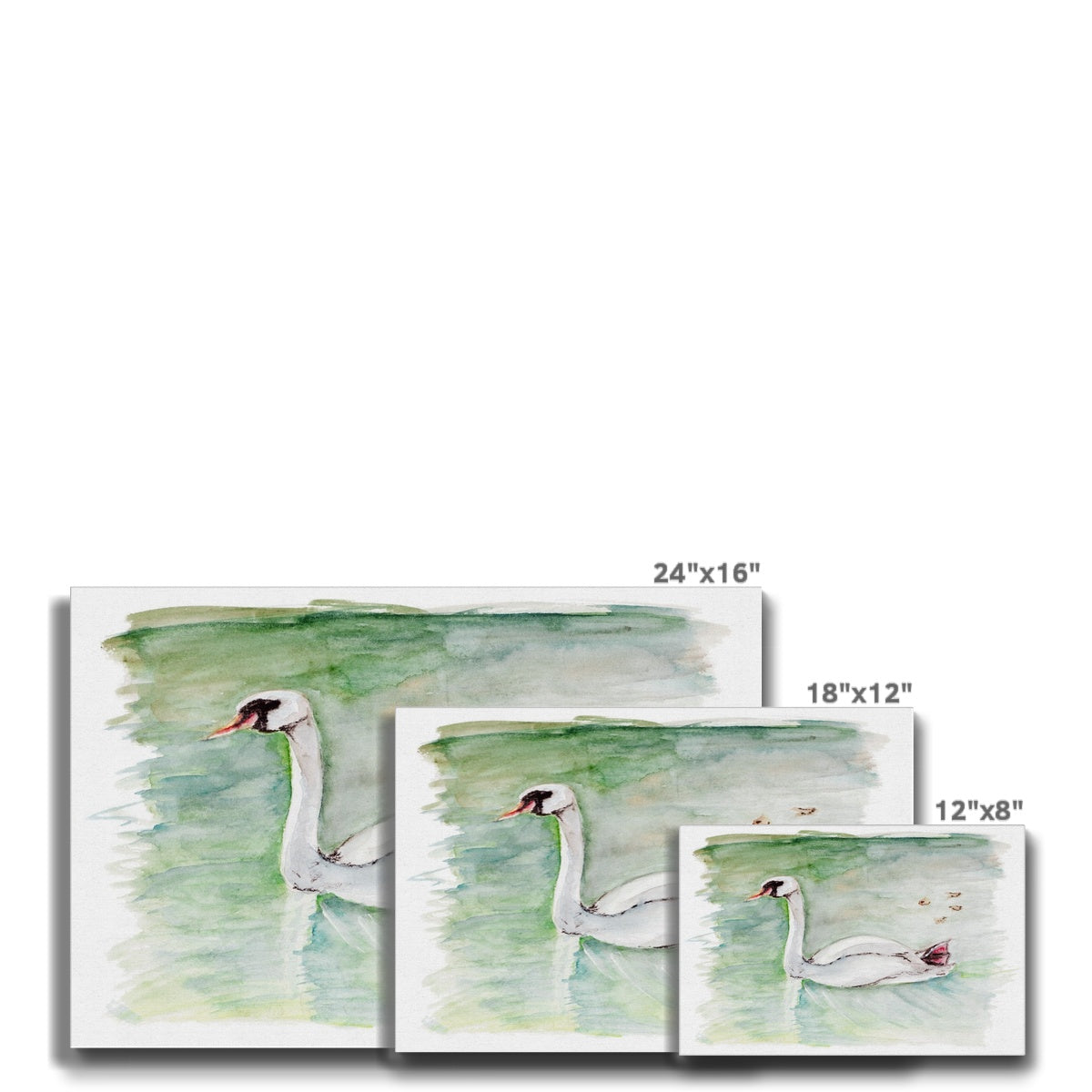Swan Family & Green Lake Canvas