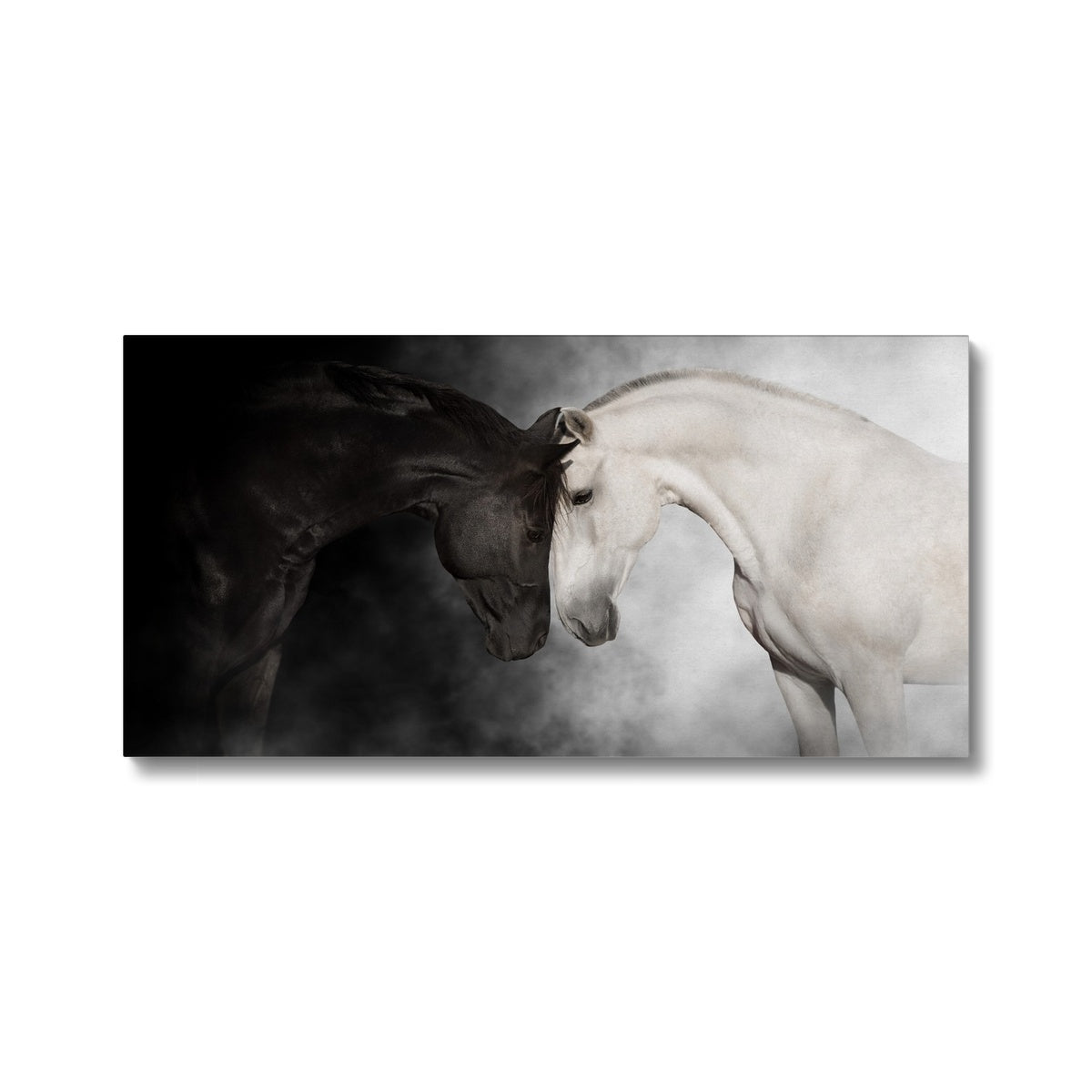 Black & White Horse Couple Portrait Canvas