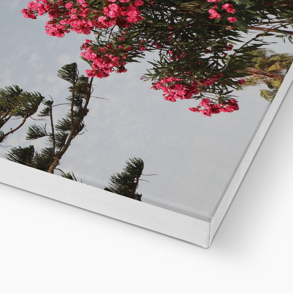 Aesthetic Sky & Pink Flowers Canvas