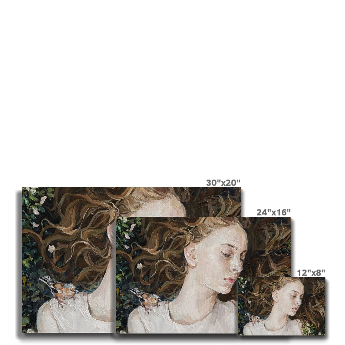 Sleeping Beauty & Sparrow  Canvas