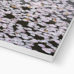 Pink Flower Petals Canvas